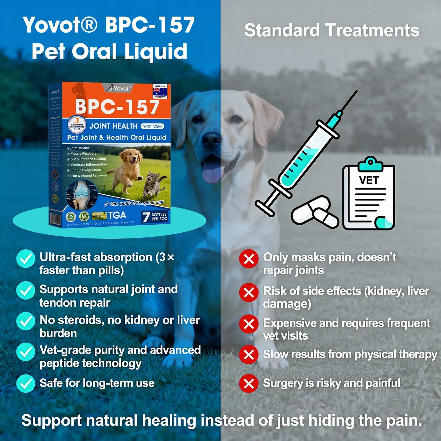 AVA Recommended | Official  DE  Store 🐶🐱Yovot® BPC-157 Advanced Joint & Total Body Health Oral Liquid -(For Dogs, Cats & Mammals. One Bottle Daily, Results in 7 Days)