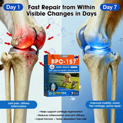AVA Recommended | Official  DE  Store 🐶🐱Yovot® BPC-157 Advanced Joint & Total Body Health Oral Liquid -(For Dogs, Cats & Mammals. One Bottle Daily, Results in 7 Days)