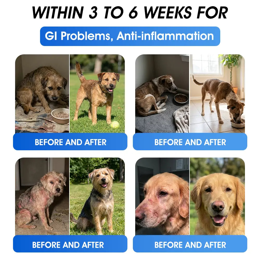 AVA Recommended | Official  DE  Store 🐶🐱Yovot® BPC-157 Advanced Joint & Total Body Health Oral Liquid -(For Dogs, Cats & Mammals. One Bottle Daily, Results in 7 Days)