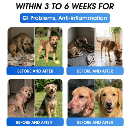 AVA Recommended | Official  DE  Store 🐶🐱Yovot® BPC-157 Advanced Joint & Total Body Health Oral Liquid -(For Dogs, Cats & Mammals. One Bottle Daily, Results in 7 Days)