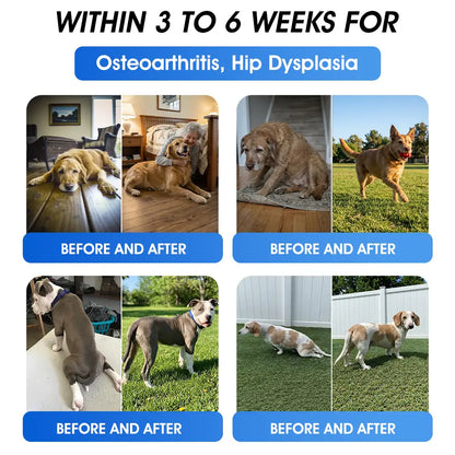 AVA Recommended | Official  DE  Store 🐶🐱Yovot® BPC-157 Advanced Joint & Total Body Health Oral Liquid -(For Dogs, Cats & Mammals. One Bottle Daily, Results in 7 Days)