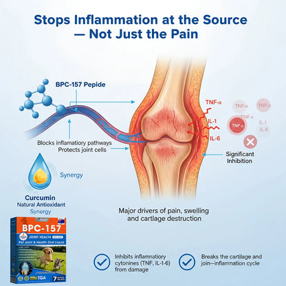 AVA Recommended | Official  DE  Store 🐶🐱Yovot® BPC-157 Advanced Joint & Total Body Health Oral Liquid -(For Dogs, Cats & Mammals. One Bottle Daily, Results in 7 Days)