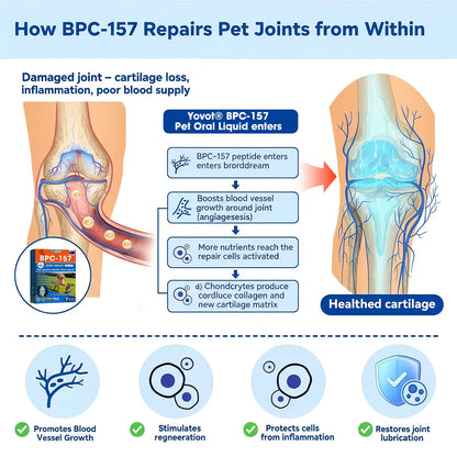 AVA Recommended | Official  DE  Store 🐶🐱Yovot® BPC-157 Advanced Joint & Total Body Health Oral Liquid -(For Dogs, Cats & Mammals. One Bottle Daily, Results in 7 Days)